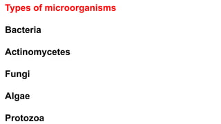 Types of microorganisms
Bacteria
Actinomycetes
Fungi
Algae
Protozoa
 