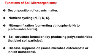 Functions of Soil Microorganisms:
❖ Decomposition of organic matter.
❖ Nutrient cycling (N, P, K, S).
❖ Nitrogen fixation (converting atmospheric N₂ to
plant-usable forms).
❖ Soil structure formation (by producing polysaccharides
that bind soil particles).
❖ Disease suppression (some microbes outcompete or
inhibit pathogens).
 