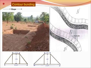 SOIL EROSION AND SOIL HEALTH | PPT