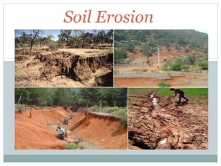 Soil Erosion

 