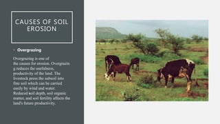 CAUSES OF SOIL
EROSION
• Overgrazing
Overgrazing is one of
the causes for erosion. Overgrazin
g reduces the usefulness,
productivity of the land. The
livestock press the subsoil into
fine soil which can be carried
easily by wind and water.
Reduced soil depth, soil organic
matter, and soil fertility affects the
land's future productivity.
 