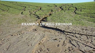 Soil erosion