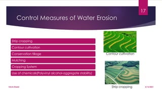 Soil erosion | PDF