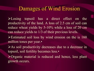 Damages of Wind Erosion
Losing topsoil has a direct effect on the
productivity of the land. A loss of 2.5 cm of soil can
reduce wheat yields by 5-10% while a loss of 20 cm
can reduce yields to 1/3 of their previous levels.
Estimated soil loss by wind erosion on the is 160
million tones per year.•
As soil productivity decreases due to a decrease in
topsoil, soil fertility becomes less.•
Organic material is reduced and hence, less plant
growth occurs.
 