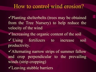 How to control wind erosion?
Planting shelterbelts (trees may be obtained
from the Tree Nursery) to help reduce the
velocity of the wind
Increasing the organic content of the soil
 Using fertilizers to increase soil
productivity.
Alternating narrow strips of summer fallow
and crop perpendicular to the prevailing
winds (strip cropping)
Leaving stubble barriers
 