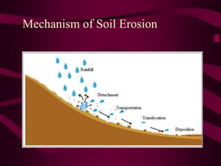 Mechanism of Soil Erosion
 