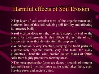 Harmful effects of Soil Erosion
Top layer of soil contains most of the organic matter and
nutrients, loss of this soil reducing soil fertility and affecting
its structure badly.
Soil erosion decreases the moisture supply by soil to the
plants for their growth. It also affects the activity of soil
micro-organisms thus deteriorating the crop yield.
Wind erosion is very selective, carrying the finest particles
- particularly organic matter, clay and loam for many
kilometres. There the wind erosion causes losses of fertile
soils from highly productive farming areas.
The most spectacular forms are dunes - mounds of more or
less sterile sand - which move as the wind takes them, even
burying oases and ancient cities.
 