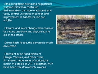 •Stabilizing these areas can help protect
watercourses from continued
sedimentation, damage to adjacent land
uses, control unwanted meander, and
improvement of habitat for fish and
wildlife.
•Streams and rivers change their courses
by cutting one bank and depositing the
silt on the others.
•During flash floods, the damage is much
acclerated.
•Prevalent in the flood plains of
Ganga, Yamuna, and other rivers.
As a result, large areas of agricultural
land in the states of U.P., Rajasthan, M.P.
have been transformed into ravines.
 
