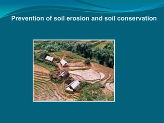 Prevention of soil erosion and soil conservation
 
