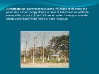 3)Afforestation: planting of trees along the edges of the fields, the
waste land and on steepy slopes to prevent soil erosion as wellas to
enahnce the capacity of the soil to retain water. increase area under
forests and indiscriminate felling of trees must stop.
 