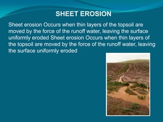 SHEET EROSION
Sheet erosion Occurs when thin layers of the topsoil are
moved by the force of the runoff water, leaving the surface
uniformly eroded Sheet erosion Occurs when thin layers of
the topsoil are moved by the force of the runoff water, leaving
the surface uniformly eroded
 