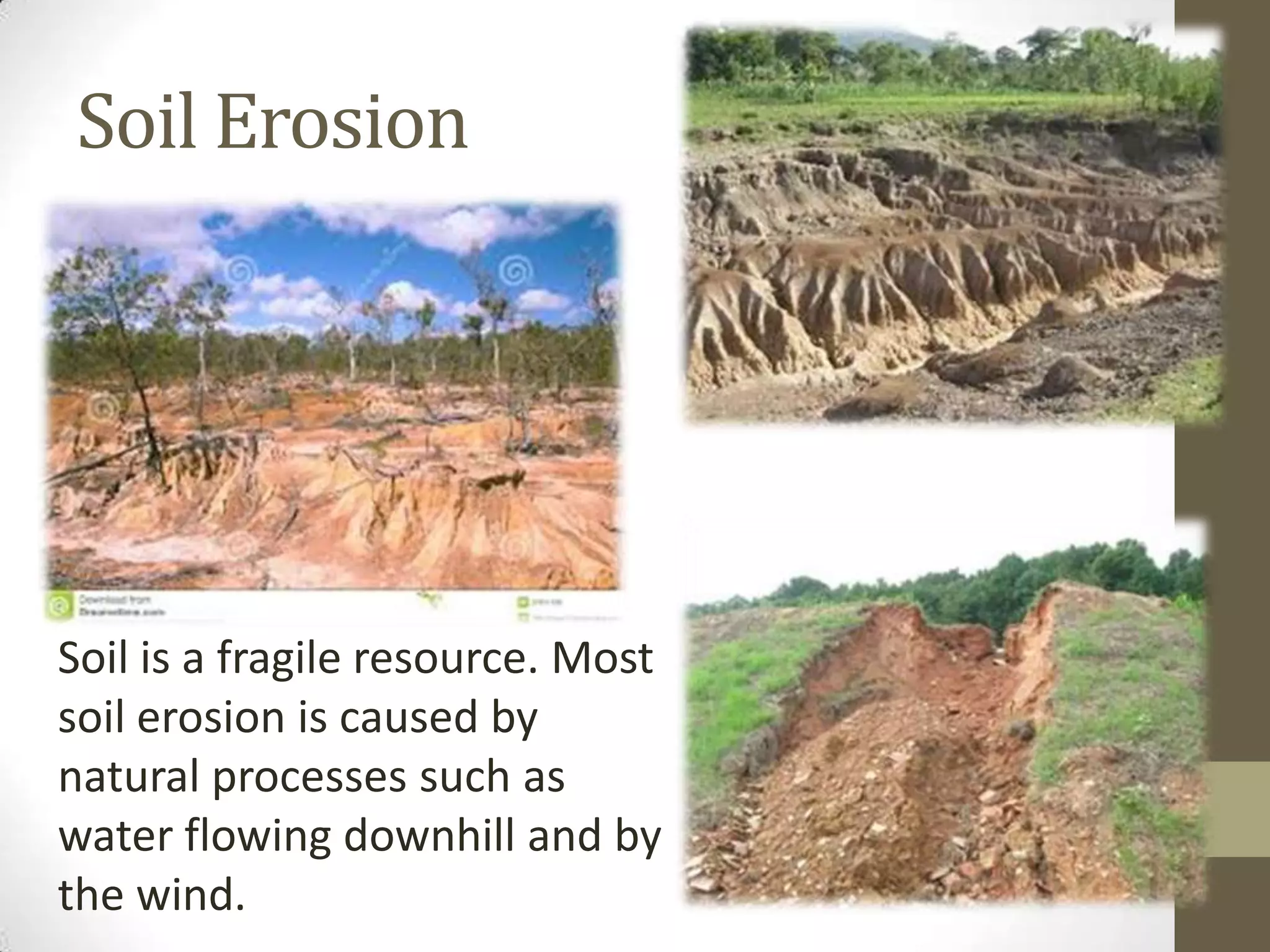 Soil Erosion and Conservation | PPTX