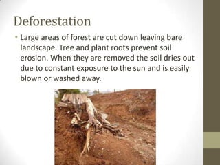 Deforestation
• Large areas of forest are cut down leaving bare
landscape. Tree and plant roots prevent soil
erosion. When they are removed the soil dries out
due to constant exposure to the sun and is easily
blown or washed away.
 