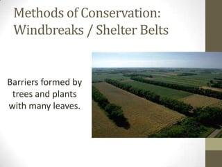 Methods of Conservation:
Windbreaks / Shelter Belts
Barriers formed by
trees and plants
with many leaves.
 