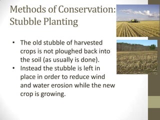 Methods of Conservation:
Stubble Planting
• The old stubble of harvested
crops is not ploughed back into
the soil (as usually is done).
• Instead the stubble is left in
place in order to reduce wind
and water erosion while the new
crop is growing.
 