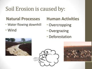 Soil Erosion is caused by:
Natural Processes
• Water flowing downhill
• Wind
Human Activities
• Overcropping
• Overgrazing
• Deforestation
 