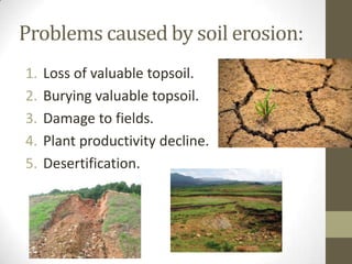 Problems caused by soil erosion:
1. Loss of valuable topsoil.
2. Burying valuable topsoil.
3. Damage to fields.
4. Plant productivity decline.
5. Desertification.
 