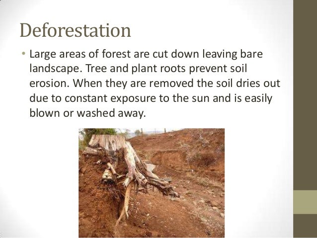 Essay on soil erosion