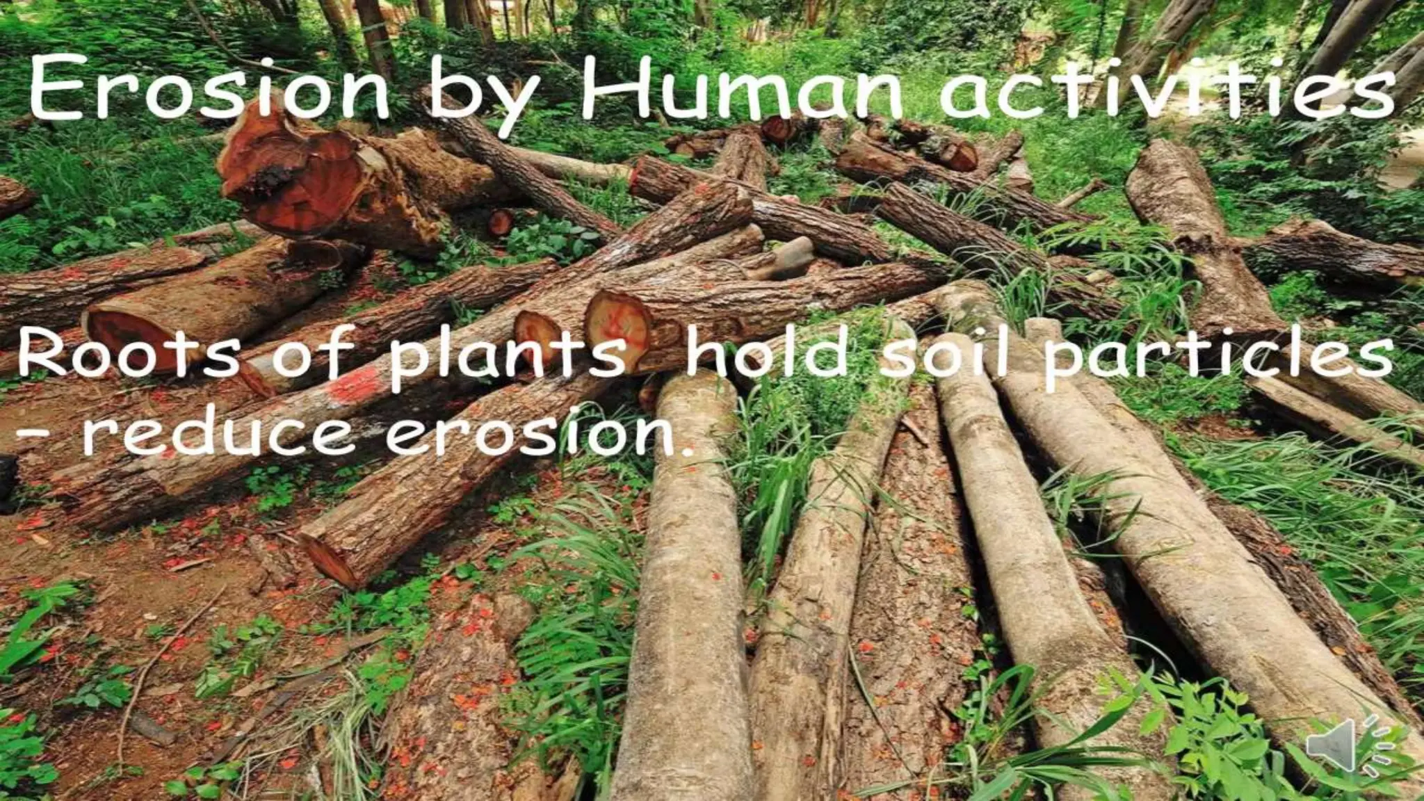 WHAT IS SOIL CONSERVATION CLASS 5 visual data 5