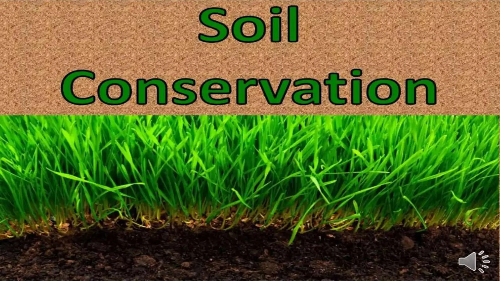 WHAT IS SOIL CONSERVATION CLASS 5 visual data 7