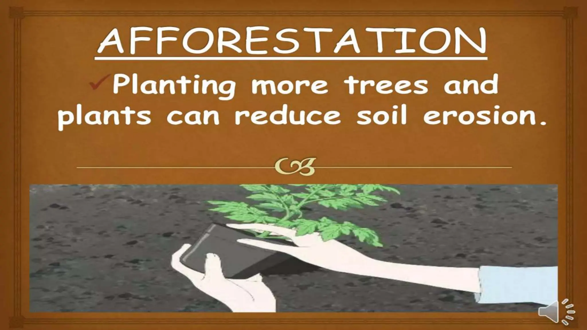 WHAT IS SOIL CONSERVATION CLASS 5 visual data 4