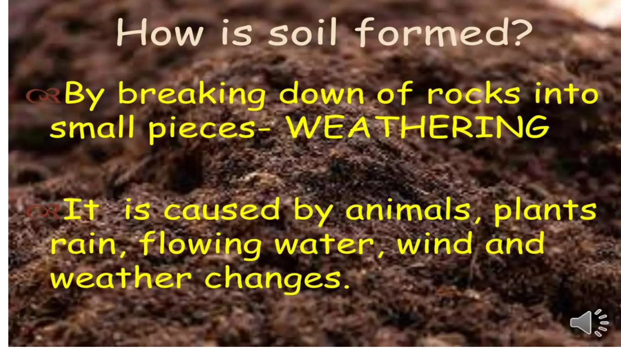 Soil visual data 6
