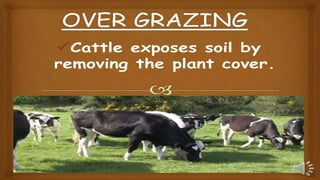 Soil Erosion and Conservation Class 5.pptx