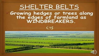 Soil Erosion and Conservation Class 5.pptx