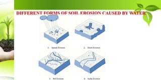 DIFFERENT FORMS OF SOIL EROSION CAUSED BY WATER
 