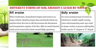 DIFFERENT FORMS OF SOIL EROSION CAUSED BY WATER
Rill erosion
When runoff starts, channelization begins and erosion is no
longer uniform. Raindrop impact does not directly detach any
particles below flow line in rills but increases the detachment
and transportation capacity of the flow. Rills are small channels,
which can be removed by timely normal tillage operations.
Gully erosion
It is more prominent type of erosion in
which heavy rainfall, rapidly running
water and transporting water may result
in deeper cavities or grooves called gullies.
Gullies may be “V” shaped or “U” shaped.
 