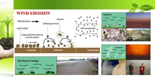 WIND EROSION
 