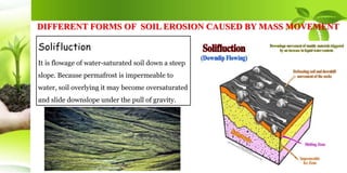 DIFFERENT FORMS OF SOIL EROSION CAUSED BY MASS MOVEMENT
Solifluction
It is flowage of water-saturated soil down a steep
slope. Because permafrost is impermeable to
water, soil overlying it may become oversaturated
and slide downslope under the pull of gravity.
 