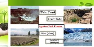 Agents of Soil Erosion
Water (flows)
Wind (blows)
Gravity (pulls)
Glaciers
(scrape)
 