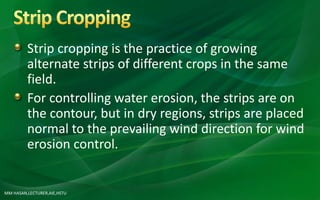 Strip cropping is the practice of growing
alternate strips of different crops in the same
field.
For controlling water erosion, the strips are on
the contour, but in dry regions, strips are placed
normal to the prevailing wind direction for wind
erosion control.
MM HASAN,LECTURER,AIE,HSTU
 