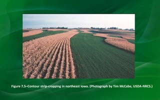 Figure 7.5–Contour strip-cropping in northeast Iowa. (Photograph by Tim McCabe, USDA-NRCS.)
 