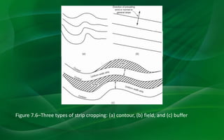 Figure 7.6–Three types of strip cropping: (a) contour, (b) field, and (c) buffer
 