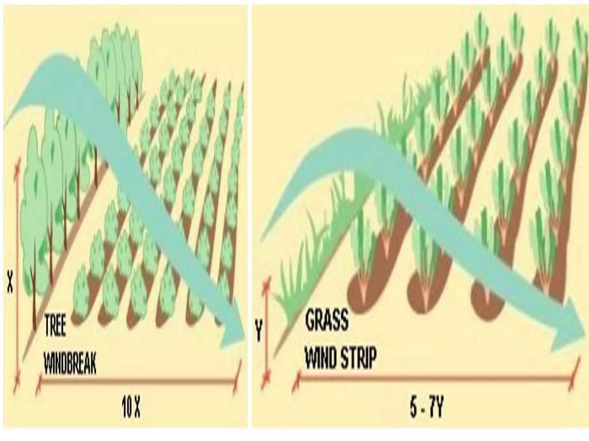 Soil visual data 8