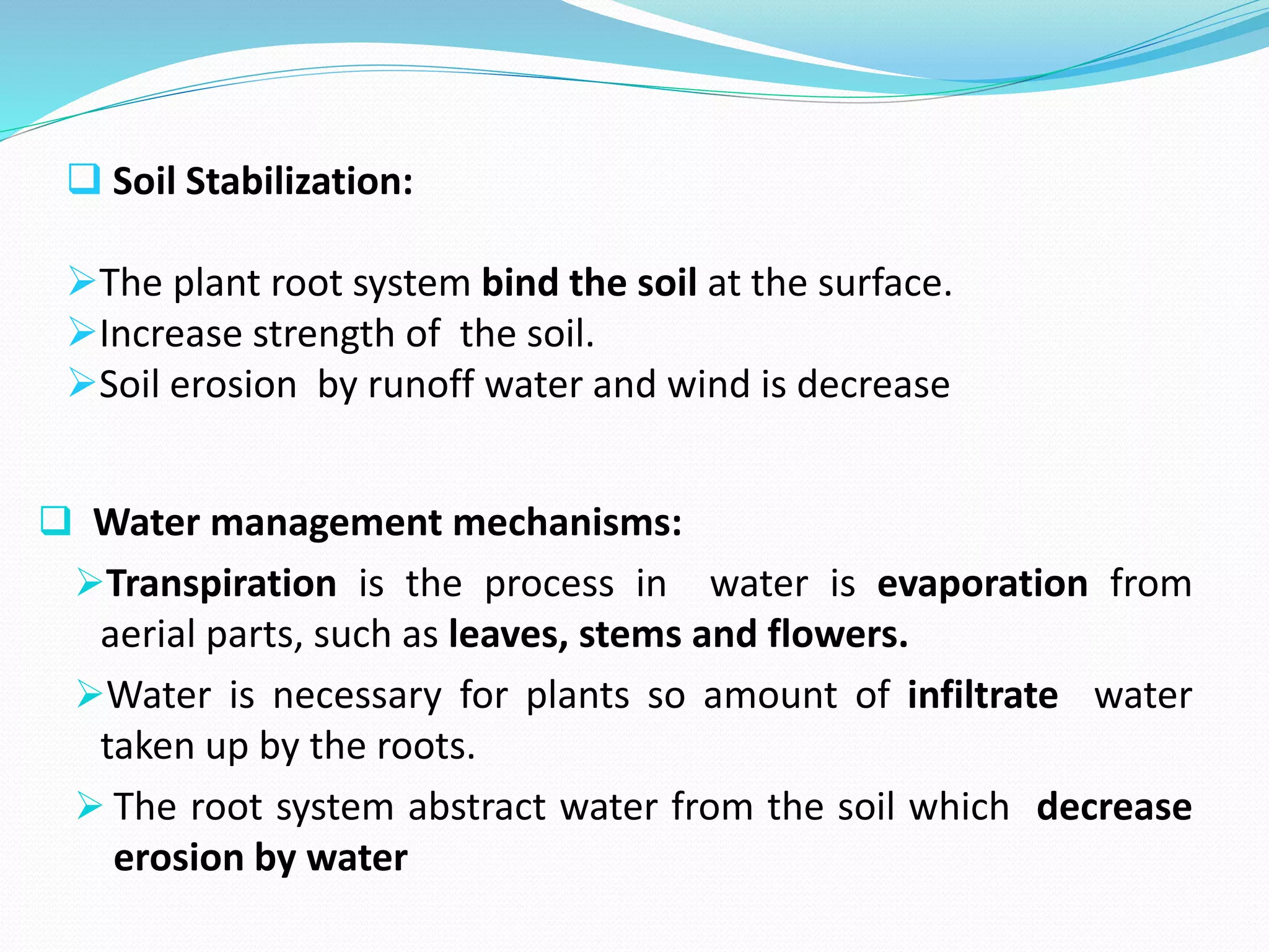 Soil visual data 5