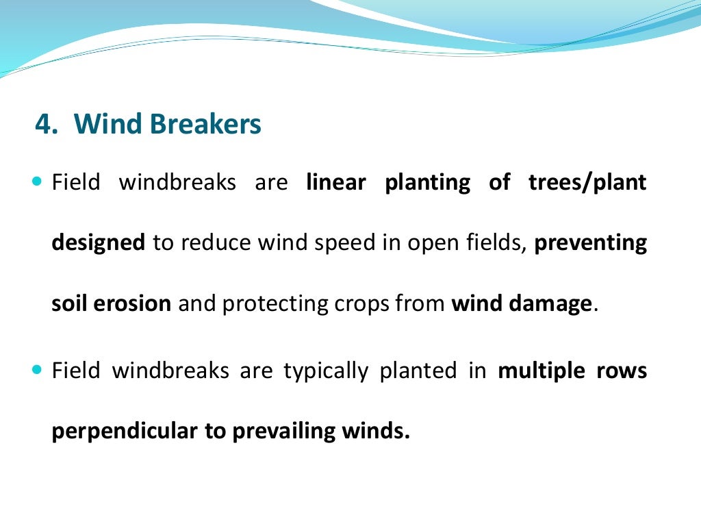 Soil erosion control measures