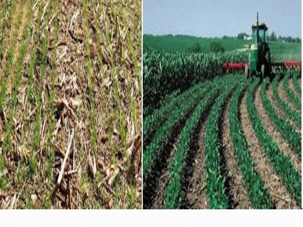 Soil erosion control measures