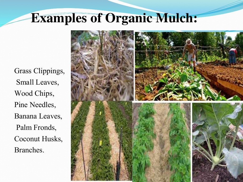 Soil Erosion Control Measures