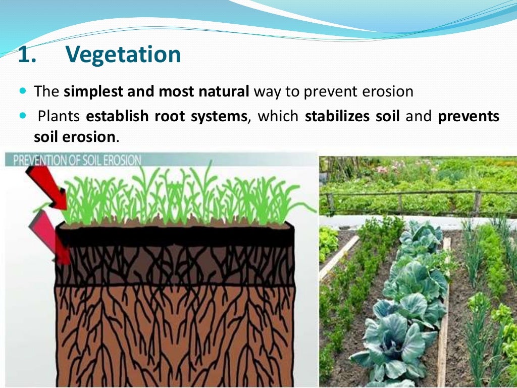 Soil erosion control measures