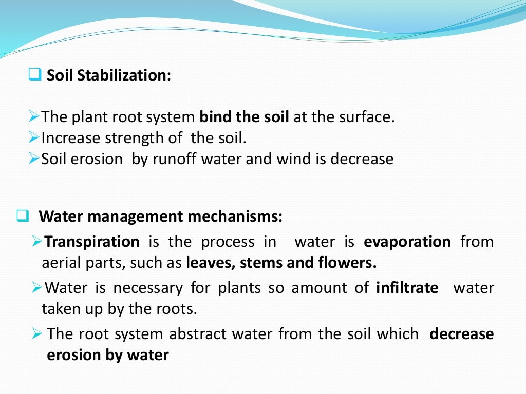 Soil erosion control measures