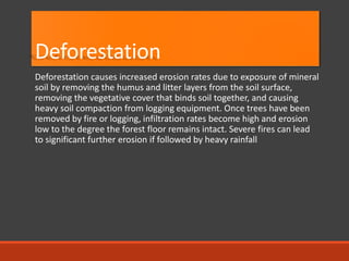 Deforestation 
Deforestation causes increased erosion rates due to exposure of mineral soil by removing the humus and litter layers from the soil surface, removing the vegetative cover that binds soil together, and causing heavy soil compaction from logging equipment. Once trees have been removed by fire or logging, infiltration rates become high and erosion low to the degree the forest floor remains intact. Severe fires can lead to significant further erosion if followed by heavy rainfall  