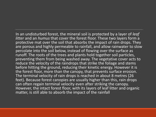 In an undisturbed forest, the mineral soil is protected by a layer of leaf litterand an humusthat cover the forest floor. These two layers form a protective mat over the soil that absorbs the impact of rain drops. They are porous and highly permeable to rainfall, and allow rainwater to slow percolate into the soil below, instead of flowing over the surface as runoff. The roots of the trees and plants hold together soil particles, preventing them from being washed away. The vegetative cover acts to reduce the velocity of the raindrops that strike the foliage and stems before hitting the ground, reducing their kinetic energy. However it is the forest floor, more than the canopy, that prevents surface erosion. The terminal velocity of rain drops is reached in about 8 metres (26 feet). Because forest canopies are usually higher than this, rain drops can often regain terminal velocity even after striking the canopy. However, the intact forest floor, with its layers of leaf litter and organic matter, is still able to absorb the impact of the rainfall  
