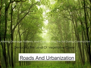 Roads And Urbanization 
•Denuding The Land Of Vegetative Cover 
Altering Drainage Patterns, And Compacting The Soil During Construction  