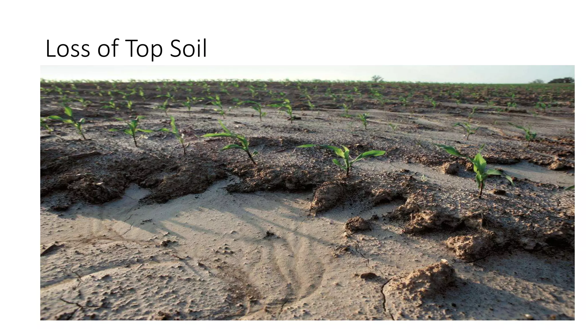 Soil Erosion | PPTX