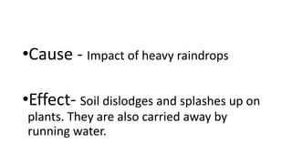 •Cause - Impact of heavy raindrops
•Effect- Soil dislodges and splashes up on
plants. They are also carried away by
running water.
 