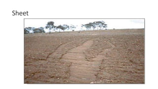Sheet
 
