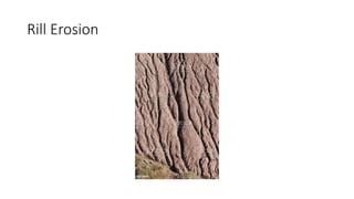 Rill Erosion
 